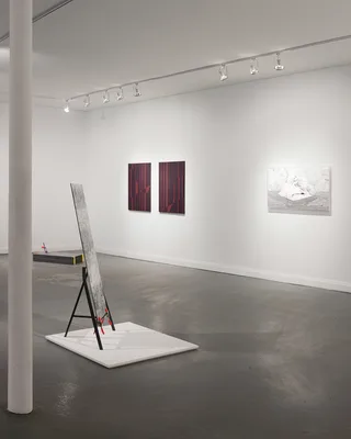 20140214 Alex Fischer Simulators II Angell Gallery 04 Similar Image Object (b) +Is Water documentation.jpg